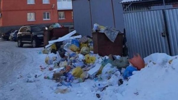 Барнаульцы жалуются на горы мусора во дворах