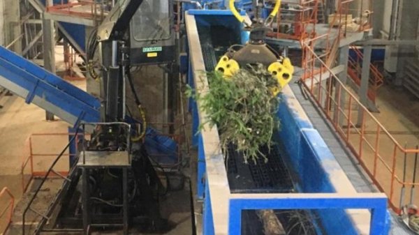 Более четырех тысяч новогодних елок сдали барнаульцы на утилизацию