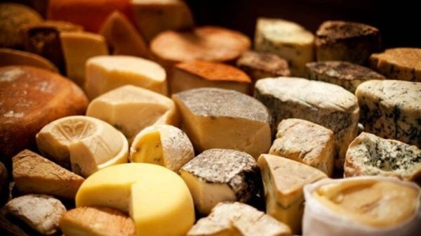 На Алтае будут судить ОПГ,  укравшую несколько тонн сыра