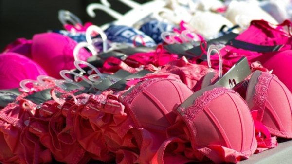 Женщина нашла сотню бюстгальтеров Victoria's Secret в мусорном баке