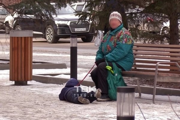 Бабушка из Красноярска при людях водила плачущего ребенка на поводке
