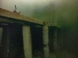 Фоторепортаж о зимнем мире Телецкого озера (фото)
