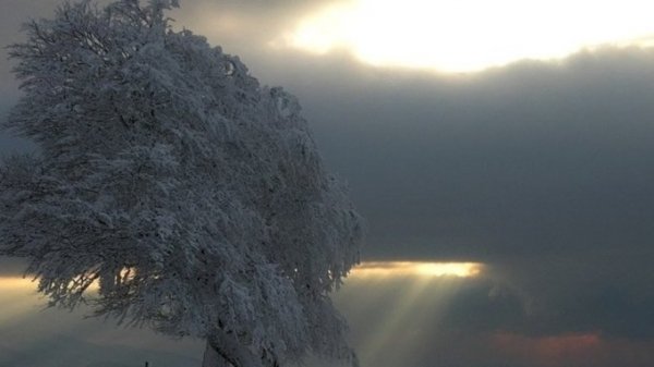Тепло, но ветренно. Штормовое предупреждение объявили в Алтайском крае 8 февраля