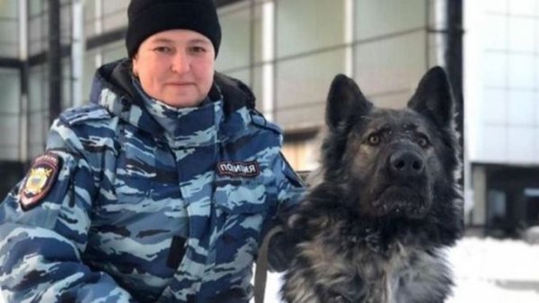 Котики, мемы и торты: полиция Якутии ведет самые милые соцсети