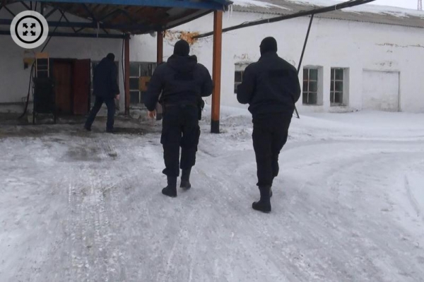Организованную группу осудят в Алтайском крае за кражу сыра в особо крупном размере