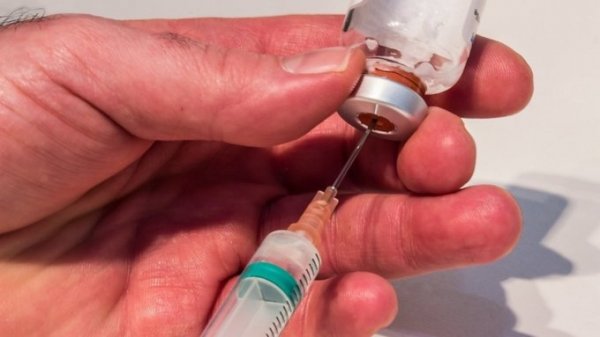 Иммунитет россиян проверят на сопротивляемость коронавирусу