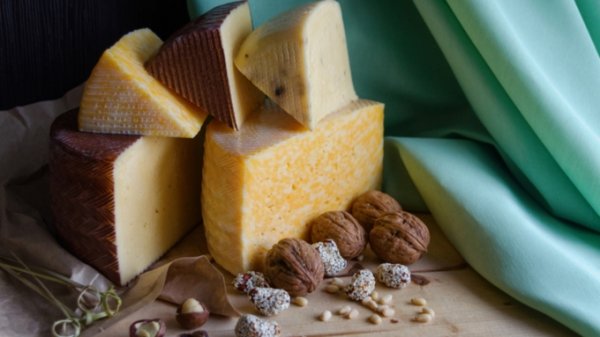 "Раут" и "Васабич": как и где производится уникальный элитный алтайский сыр