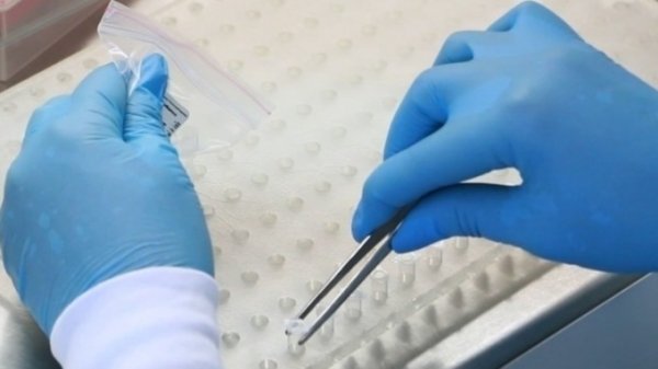 Уже 10 человек в Германии заразились новым видом коронавируса
