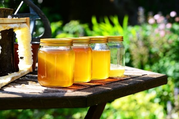Молодость и долголетие: почему алтайский мёд покупают в Москве и Краснодаре