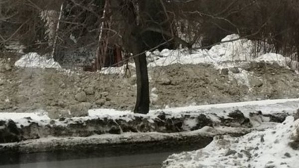 Барнаульцы рассказали о грузовиках, которые вывозят снег на пешеходную аллею