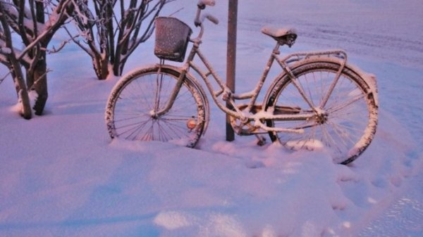 С ветерком. Жителям Барнаула предложили пересесть на велосипеды 14 февраля