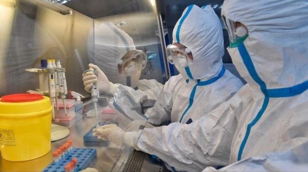 Тесты для определения коронавируса поступят в Алтайский край