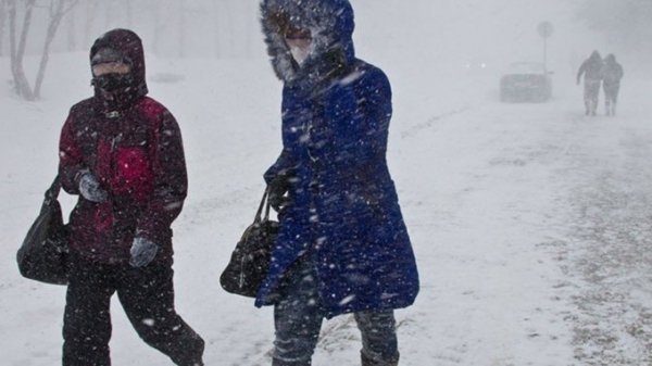 Зима вернется в Алтайский край на следующей неделе