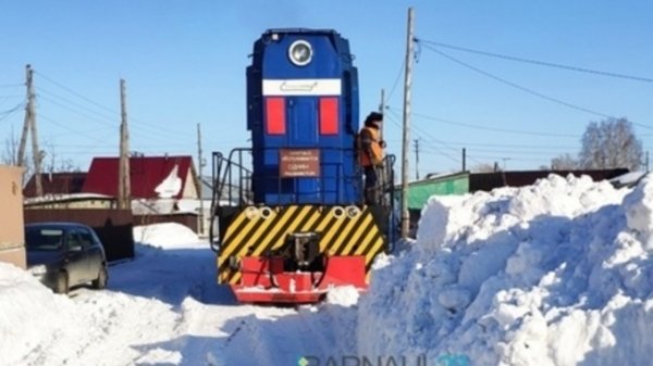 Барнаульцы опасаются, что последствия снегопада отразятся на них весной