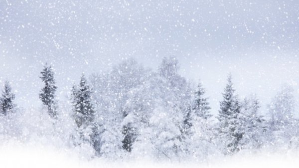 Снегопады на Алтае могут продолжаться еще месяц