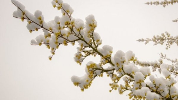 Почти весна. Прогноз погоды в Алтайском крае на 28 февраля