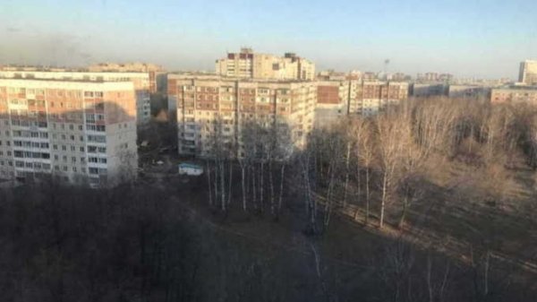 Плитка и деревья: как в Барнауле благоустроят Мизюлинскую рощу и сквер на Ускова