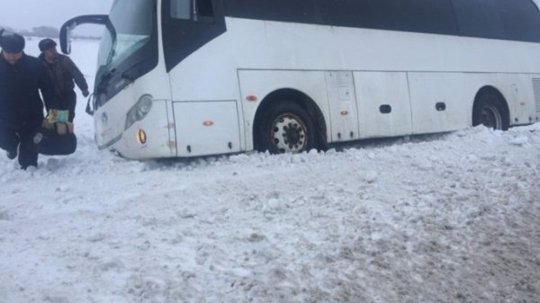 Автобус слетел с трассы в Алтайском крае