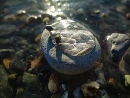 Фоторепортаж о зимнем мире Телецкого озера (фото)