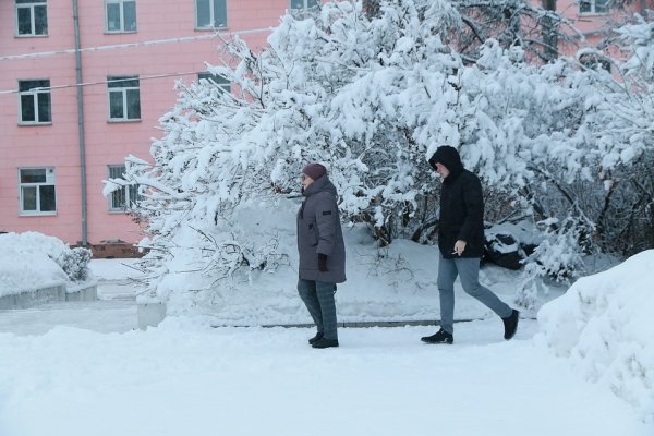 Мокрый снег облепил Барнаул: красивая фотоподборка