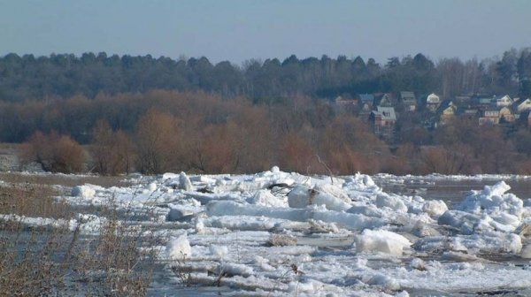 Власти Алтайского края призвали готовиться к февральскому наводнению