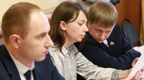 Барнаульские эсеры продолжают бороться за новый порядок избрания мэра