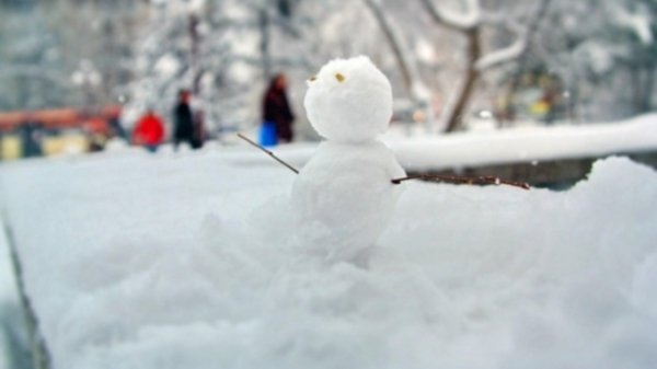 Слабый снег и 0°С: какой будет погода на Алтае в День защитника Отечества