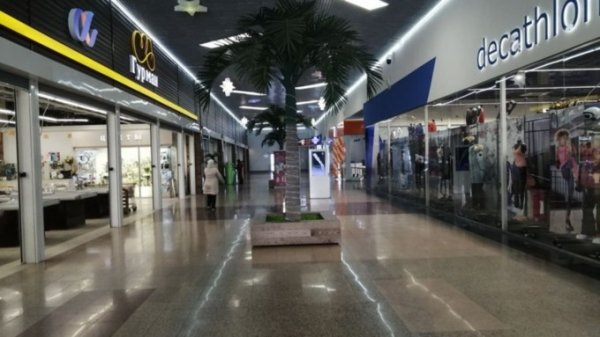 Алтайские заведения накажут за отказ приостановить деятельность