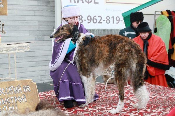 Алтайский губернатор сжег чучело и испек блины