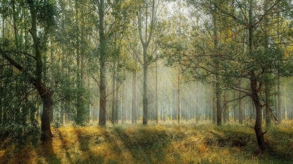 Доходы – увеличить, жизнь - улучшить