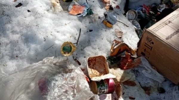 Барнаульцы пожаловались на военных из-за мусора