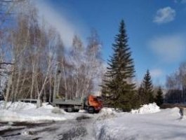 В сквере рядом с АлтГУ заметили строительную технику (фото)