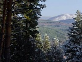 Весенние денечки в алтайской Белокурихе (фото)