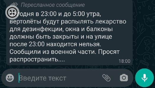 В чатах пользователей Алтайского края распространяют фейк о патрулях по выявлению детей и подростков в торговых центрах