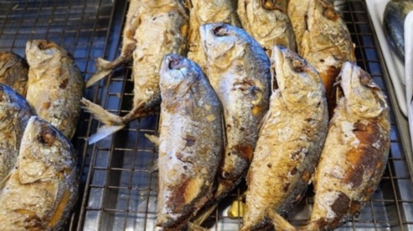 Почти 200 кг опасных рыбы и мяса уничтожили в Алтайском крае
