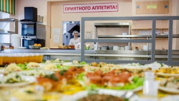 Единороссы взяли на контроль перевод школьников Алтая на бесплатное горячее питание