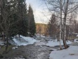 Весенние денечки в алтайской Белокурихе (фото)