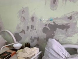 Пациентов горбольницы №11 вывели в прохладный коридор из-за ремонта (видео)
