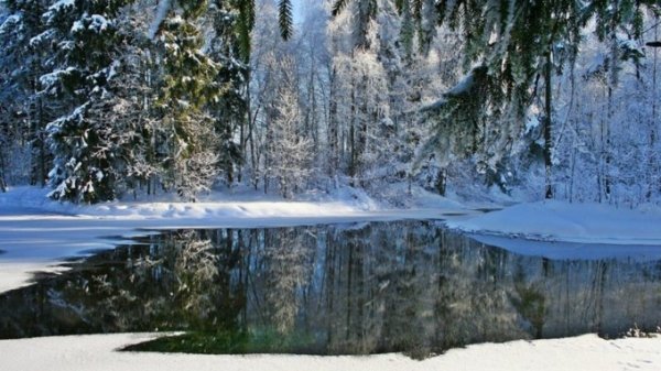 В Алтайском крае снова похолодает до -13°C