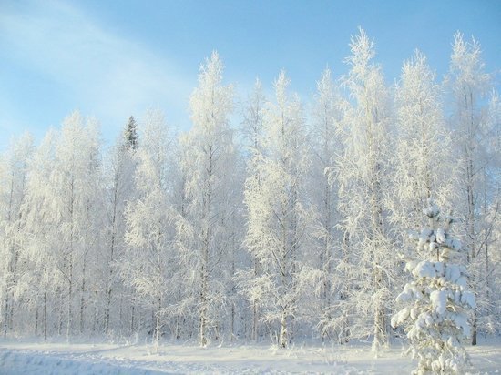 В Алтайском крае снова похолодает