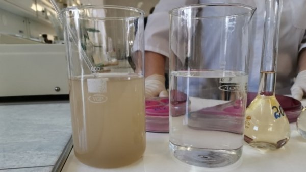 Засохнуть не дадут. Как барнаульский водоканал готовится очищать воду в паводок