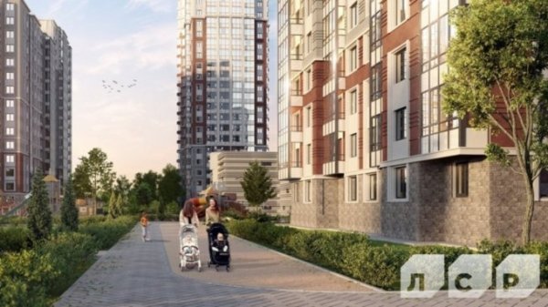 Барнаул – Санкт-Петербург: как купить недвижимость дистанционно