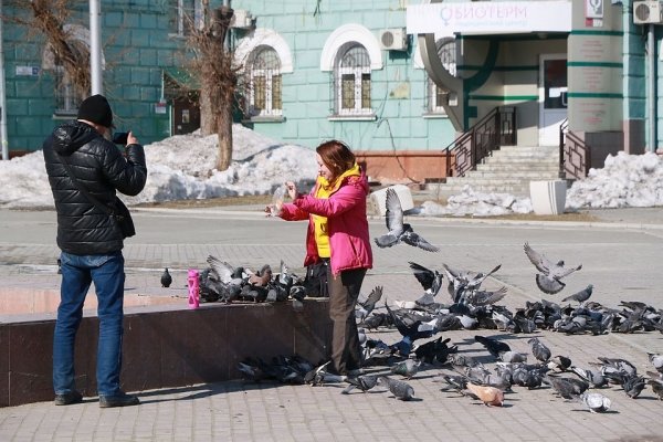 Без рукопожатий: барнаульцы начали носить маски и избегать контактов