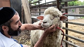 Костры, зеркала и уксус. Как встречают самый древний праздник Навруз?