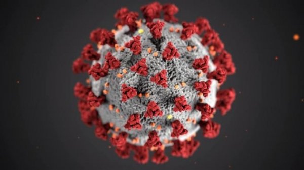 В России зарегистрировали четыре новых случая коронавируса