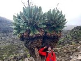 Девушка из Барнаула поднялась на вулкан Килиманджаро (фото)