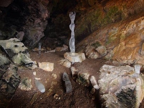 Уникальные кости древних животных нашла студентка на Алтае