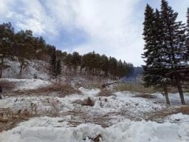 Весенние денечки в алтайской Белокурихе (фото)
