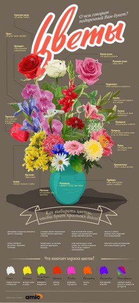 Язык цветов в инфографике. Как правильно составить букет для своей женщины?