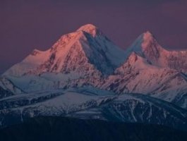 Команда алтайских автотуристов стала бронзовым призёром чемпионата мира (фото)